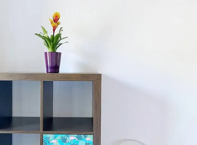 Olivrea Design Palazzo Apartman